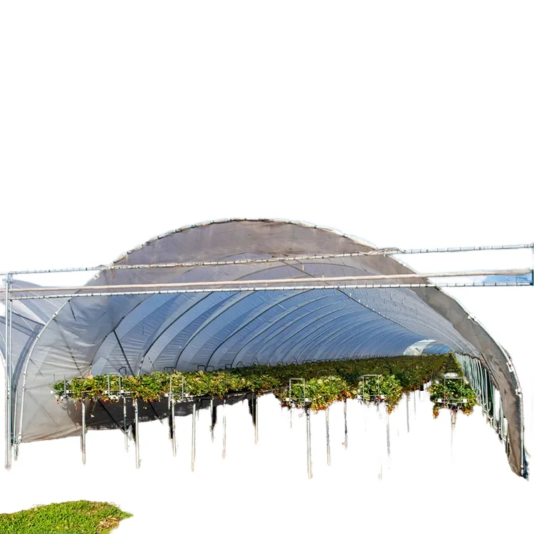 Sainpoly hot sale greenhouse berry greenhouse agriculture greenhouse