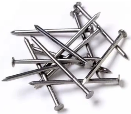 Hot Sale Vietnamese Steel Polished round Head Concrete Nails Iron Nails for USA/UK Market