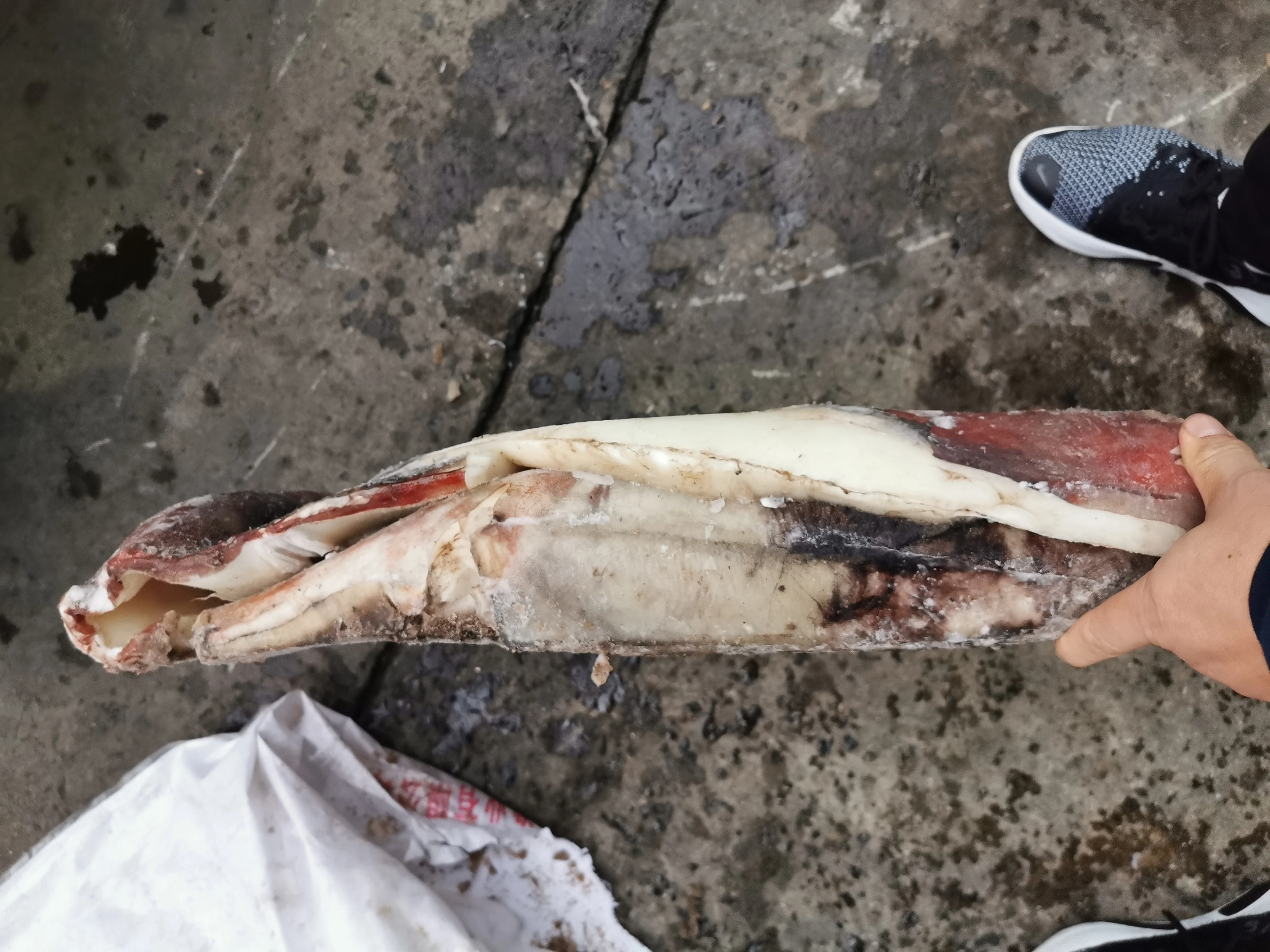  Эксклюзивные скидки морепродукты замороженный кальмар мясо гигантский филе