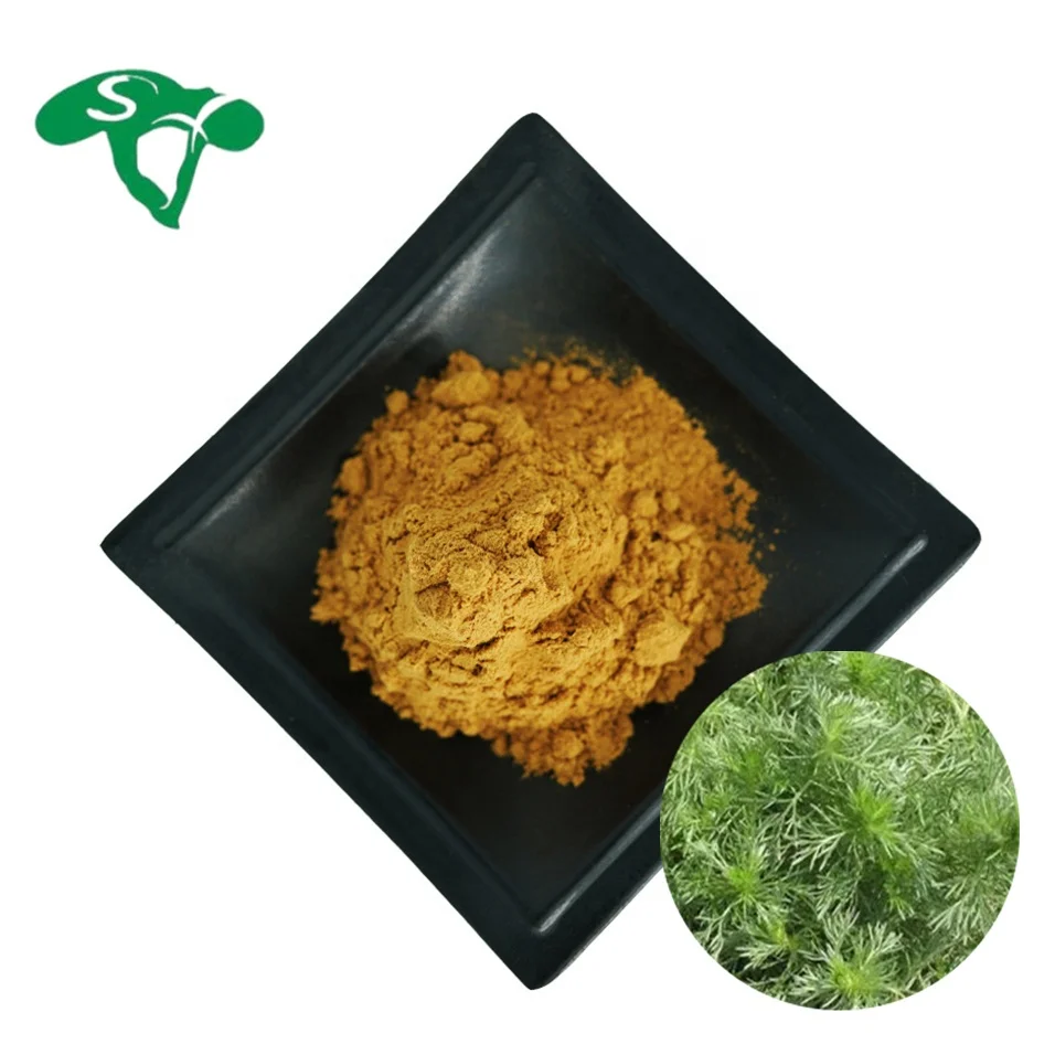 Инь (железная Гуаньинь) Чэнь капиллярные полыни травяного экстракта розмарина сарШапз экстракт