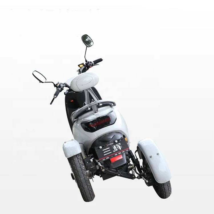 adults motorized 800w dual motor electric tricycles