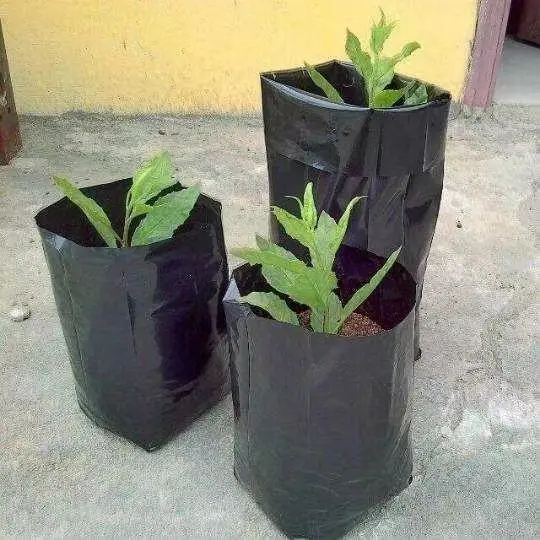 3Gal Factory customized for tree, flower, vegetable growing Nursery Bags Product for plastic grow bags