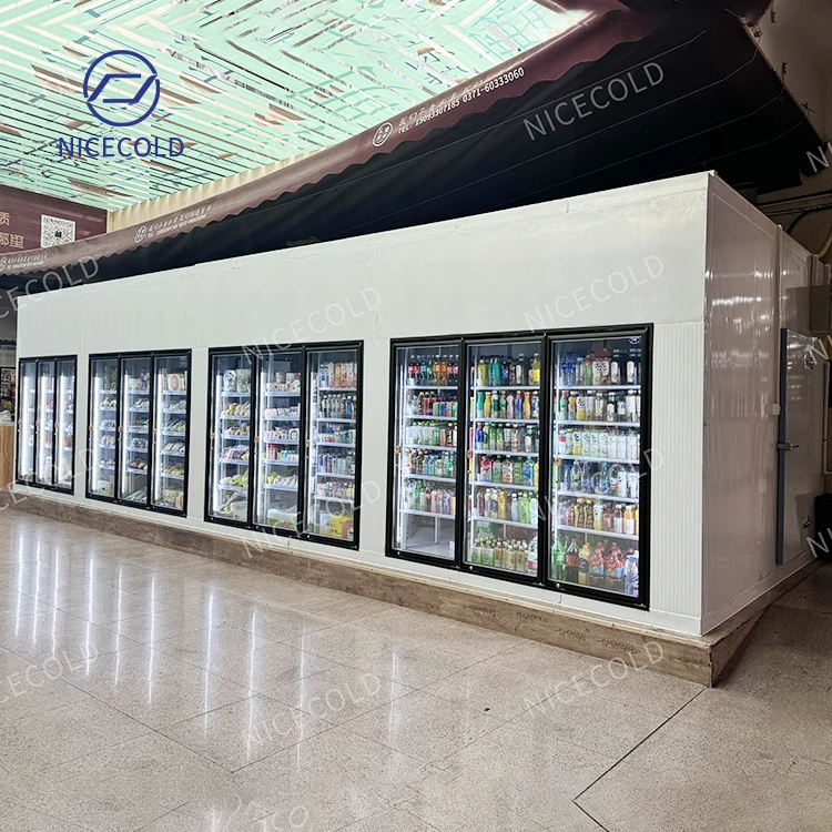 New Trend Glass Door Display Cold Room Walk In Cooler Freezer for Flower Beverage Drinks