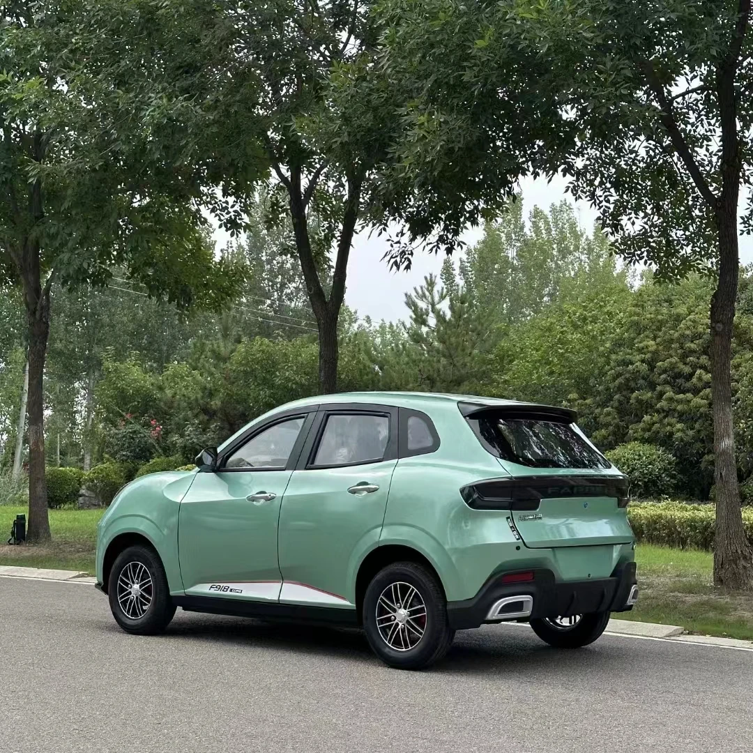 Low Price Four-Wheeled Electric Vehicles, New Energy Family Cars, Scooters, Petrol and Electricity