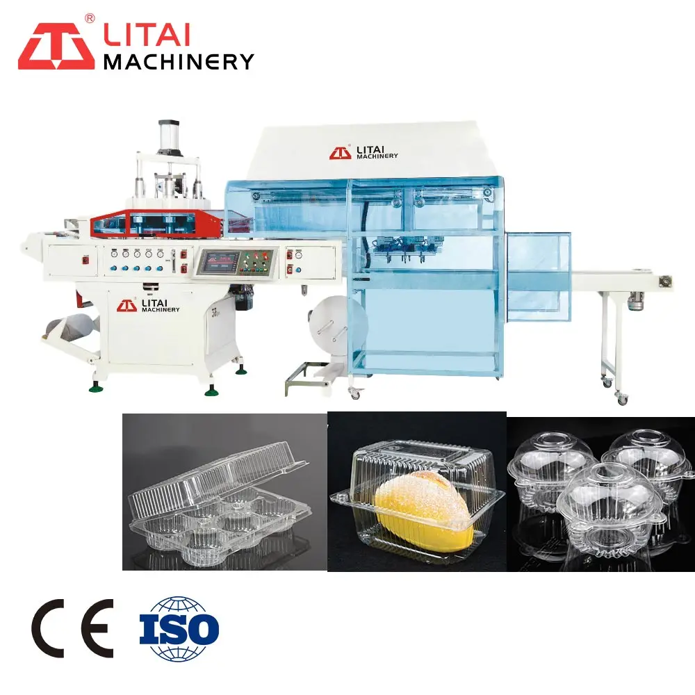 Vacuum Plastic Thermoforming Machine For Fruit Tray