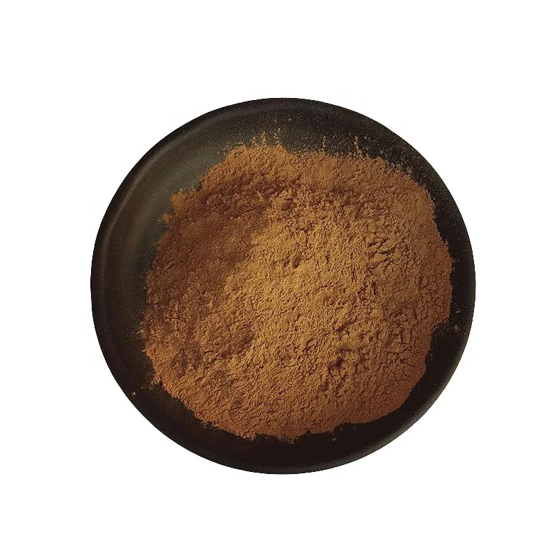 Good Quality organic ginkgo biloba extract and functional beverages ginkgo biloba powder