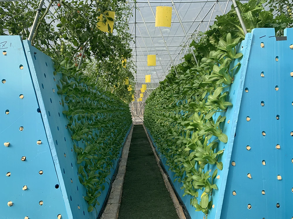 Factory Cheap Price Hydroponics Grow Kit Agricultural Ecological Garden Used Seed Plant grow Hydroponic seed sponge