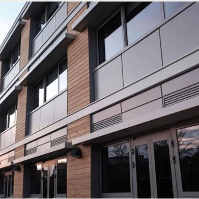 WPC Co-extrusion Exterior Wall Decoration Panel Samples/wall Cladding Board