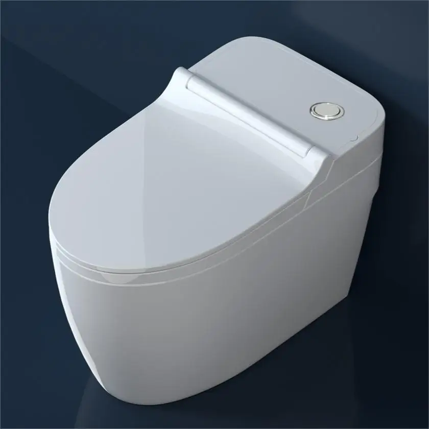 Smart Toilet Hotel  Automatic Cleaner WC Tankless  no electricity Pulse One Piece intelligent toilet with bidet