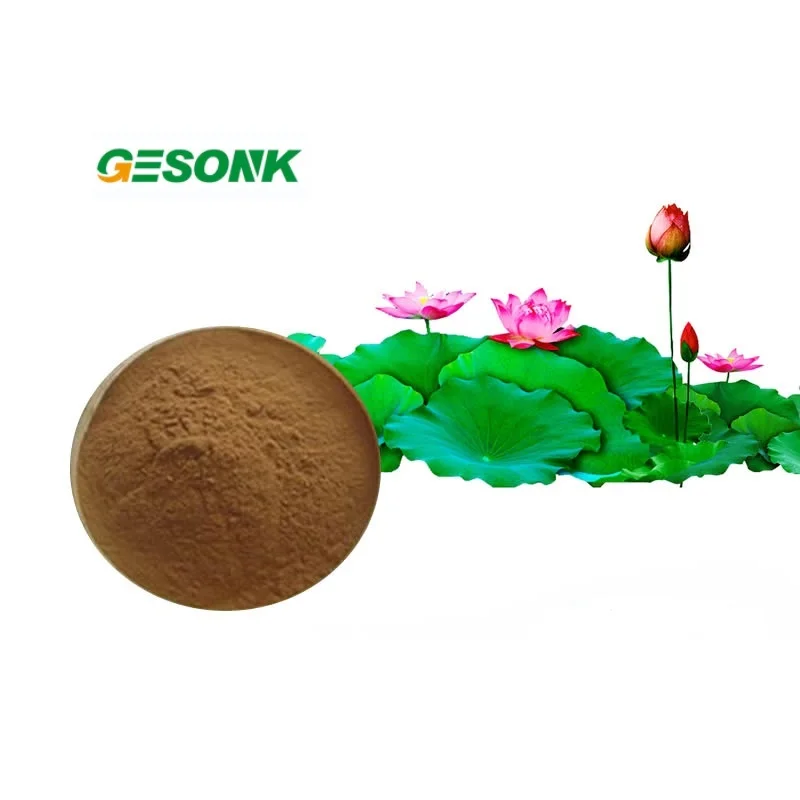 Hot Sale Food Grade Lotus Flavones Powder Lotus Leaf Extract 10% Flavones
