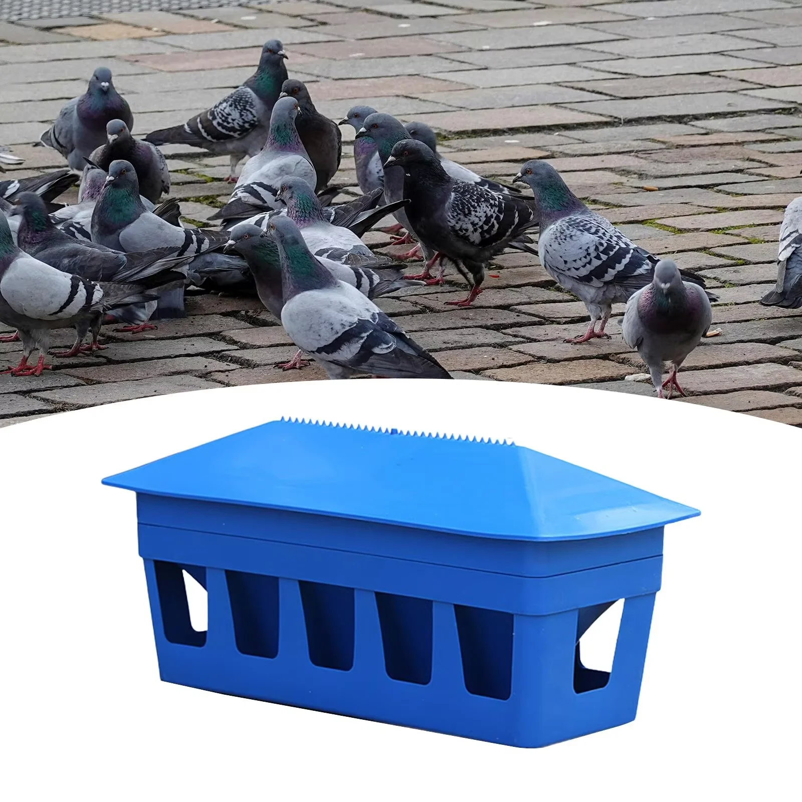 Plastic Automatic Pigeon Feeder Lake Blue Chick Bird Parrot Food Box Various Sizes Poultry Feeding Equipment