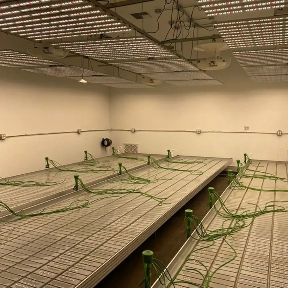 Hydroponics System 4x4 Flood Table Rolling Bench For Greenhouse Indoor Growing Room