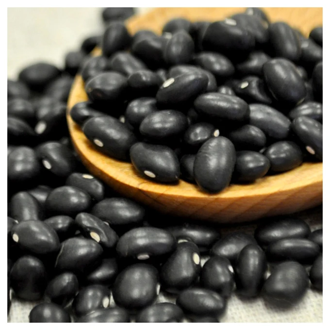 Hot Sale Premium Black Kidney Beans - High Quality, Best Price, Directly From Producers In Mexico