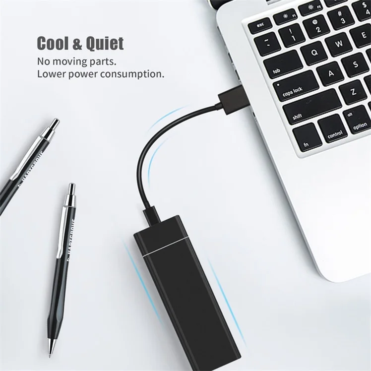 Custom External Mini SSD NVMe Metal Encloser External Harddisk 250 GB