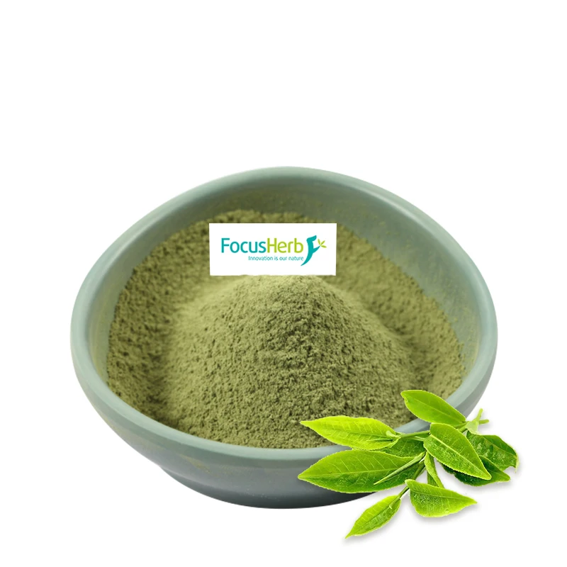 
FocusHerb Ceremonial Organic Matcha Green Tea Powder Matcha 