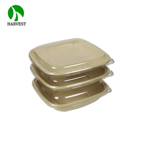 Disposable Bagasse Biodegradable Takeaway Compostable Container Paper Food Packaging