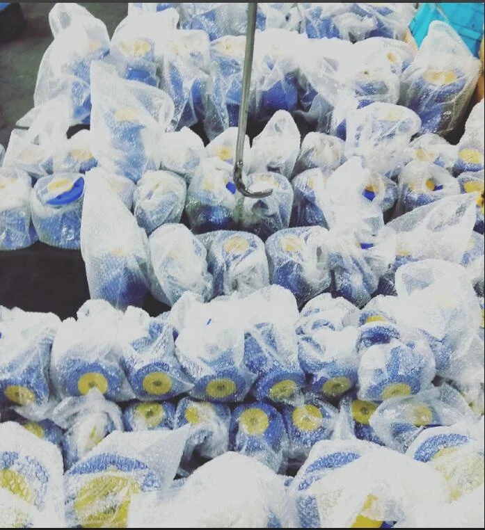 Dp17/Dp27/Dp143 Pilot Diaphragm Type Water/ Oil / Steam Pressure Reducing Valve/Control Valve