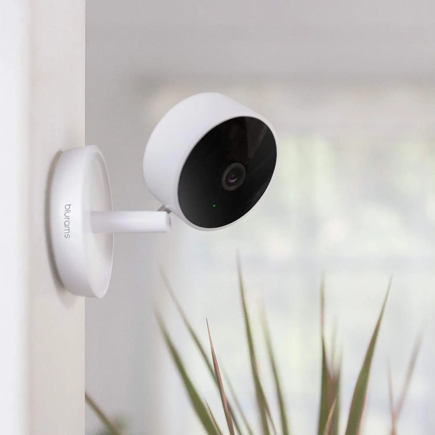 Blurams приложение Alexa Babyfoon камера De Surveillance 360 Смарт Wi-Fi видеокамера камера бейби монитор камеры безопасности