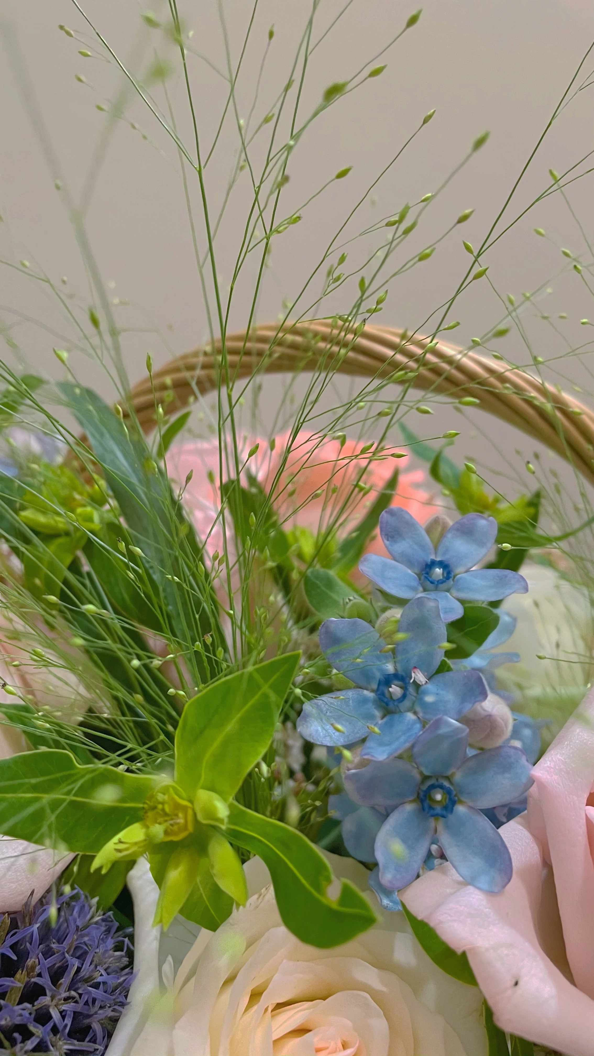 Корзина для леди yuhuплот