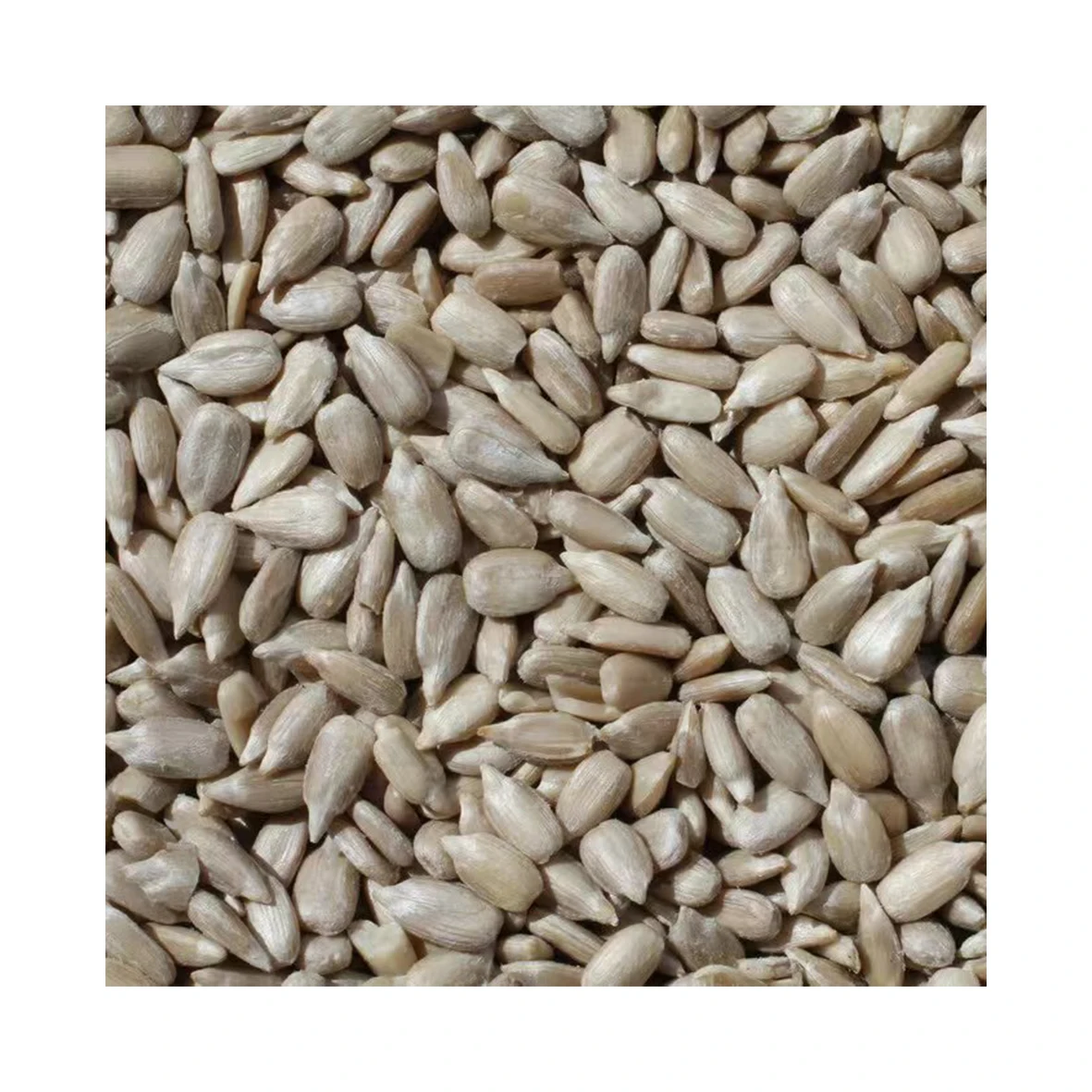 Factory Direct Price raw sunflower seed kernels nuts confectionery class without shell