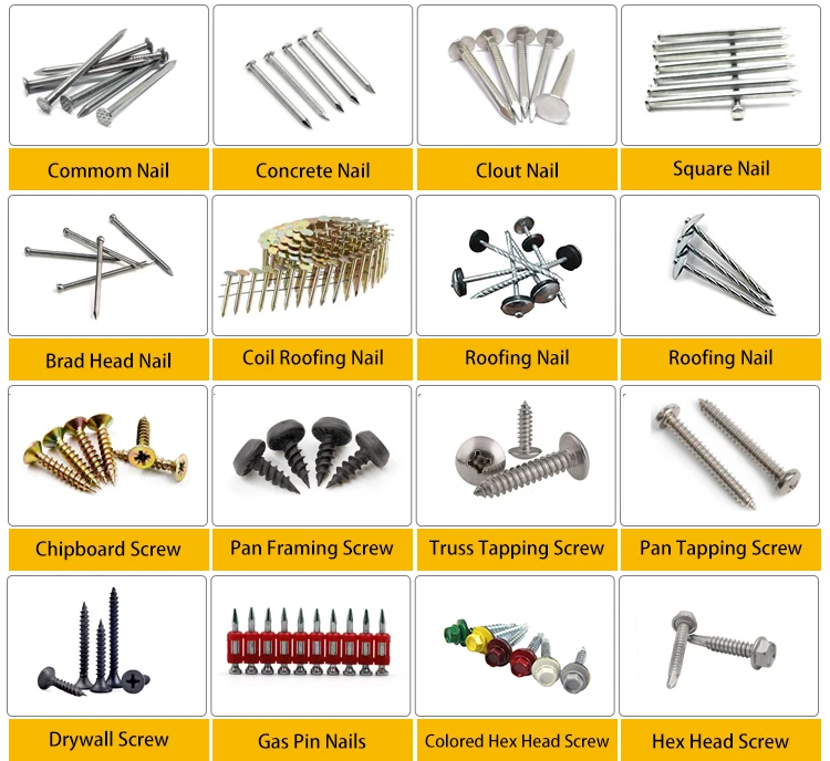 Collated Drywall Screws