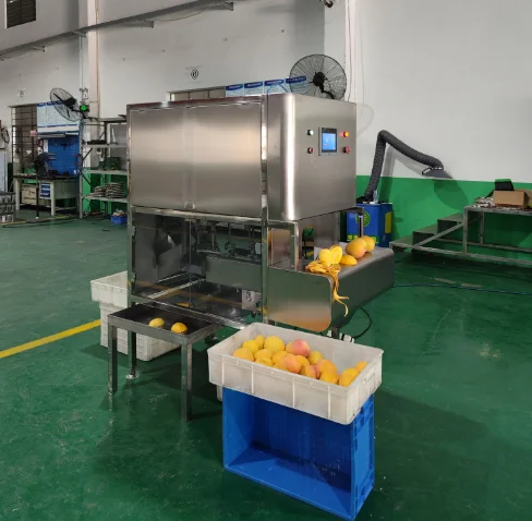 Fruit Peeling reveals future mango juice production line