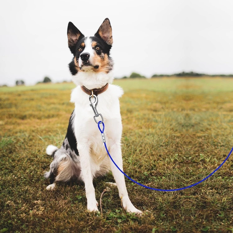 Leeao double-headed hook steel wire dog leash leash supporting pets with ground nails fixed pile dog pile  wire rope