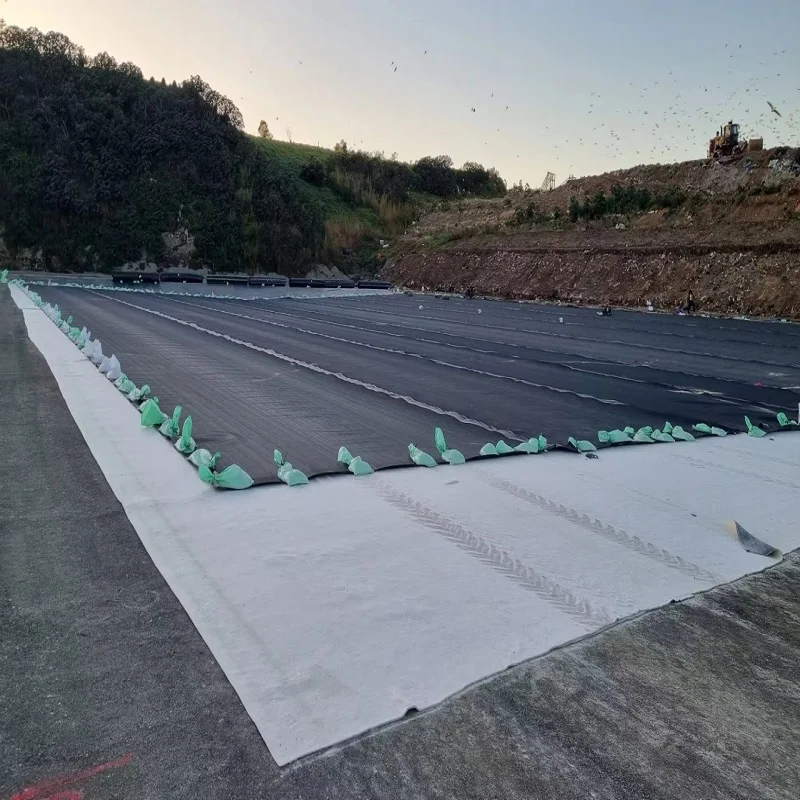 HDPE LDPE LLDPE Geomembrane 0.75mm 1mm 1.5mm  Plastic Dam Pond Liner Landfill Biodigester Liners Geomembrane