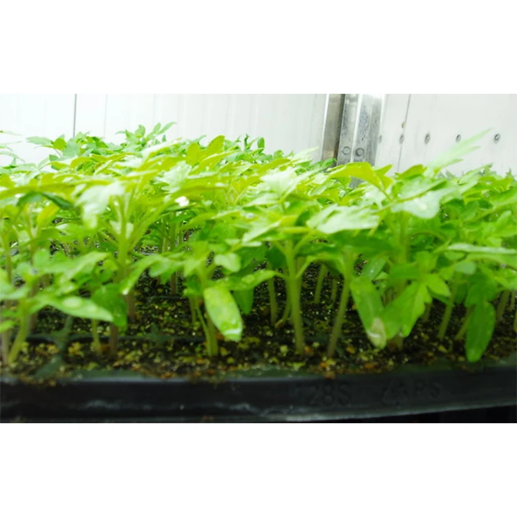 Wholesale Custom Greenhouse Plant Factory Seedling Container Plant Factory