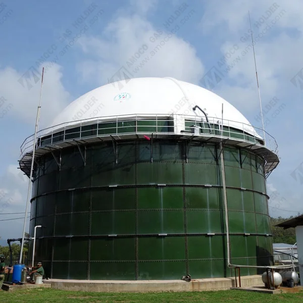 High Quality Membrane Biogas Storage Roof for Biogas Digester Tank in Turkey