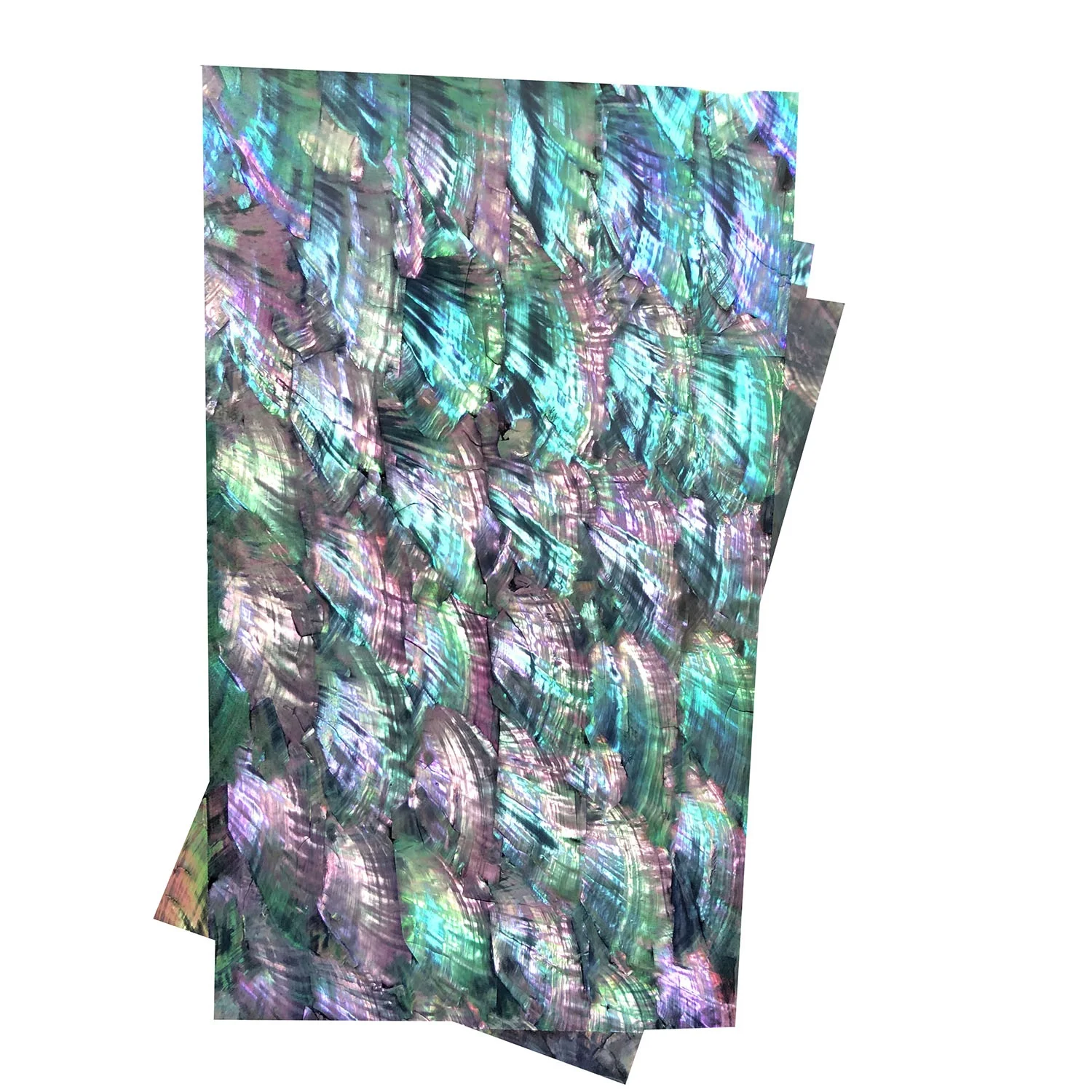 XE-067  Natural Shell Paper Scallop  In Shell Abalone Shell Mother Of Pearl For Art Jewelry Decoration