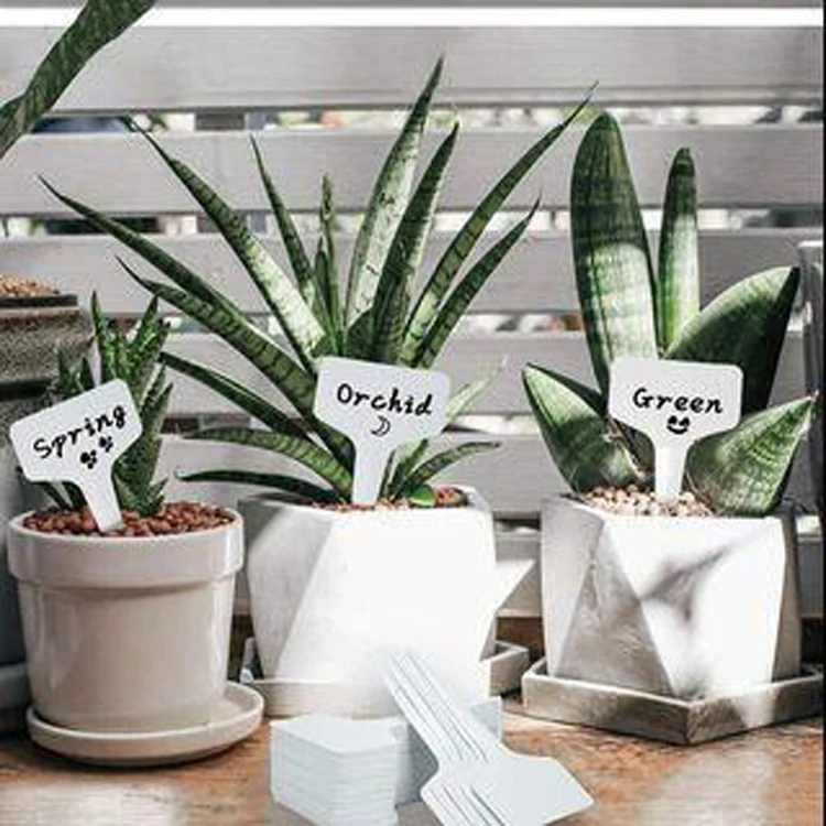 New arrival Plastic waterproof plant tag Markers garden labels plastic plant markers for plants