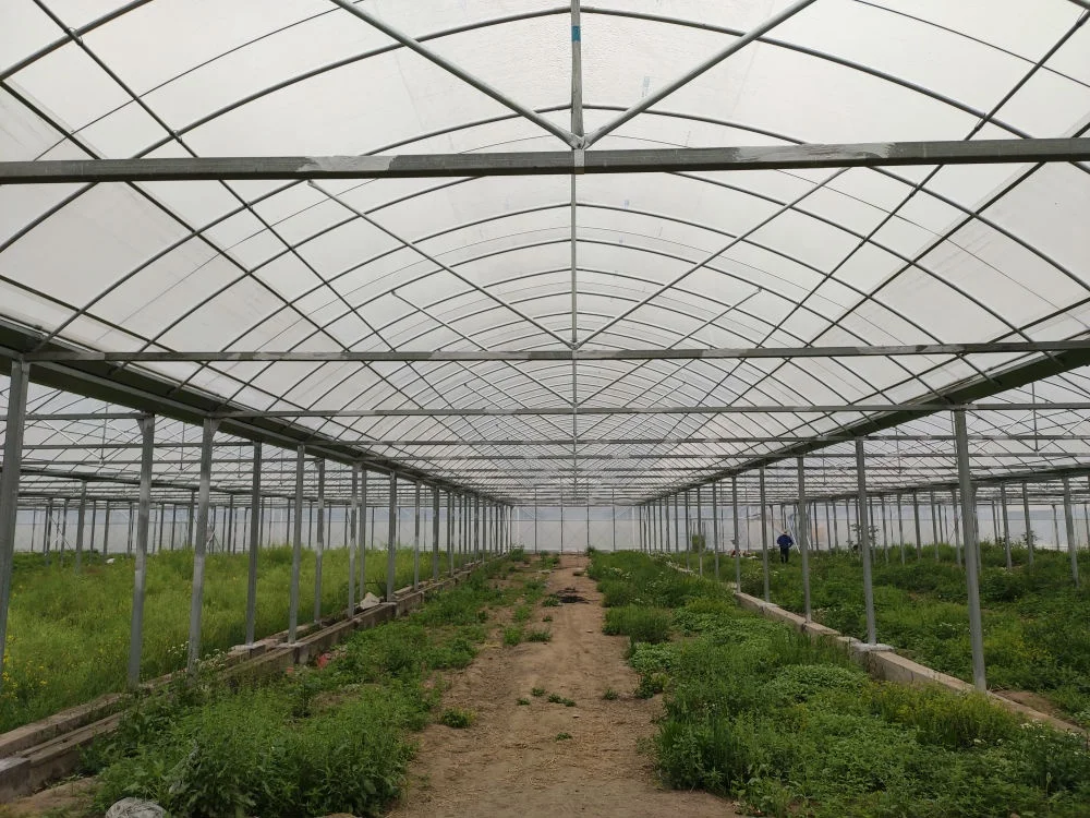 
vegetable fruit agriculture greenhouse farm for sale 