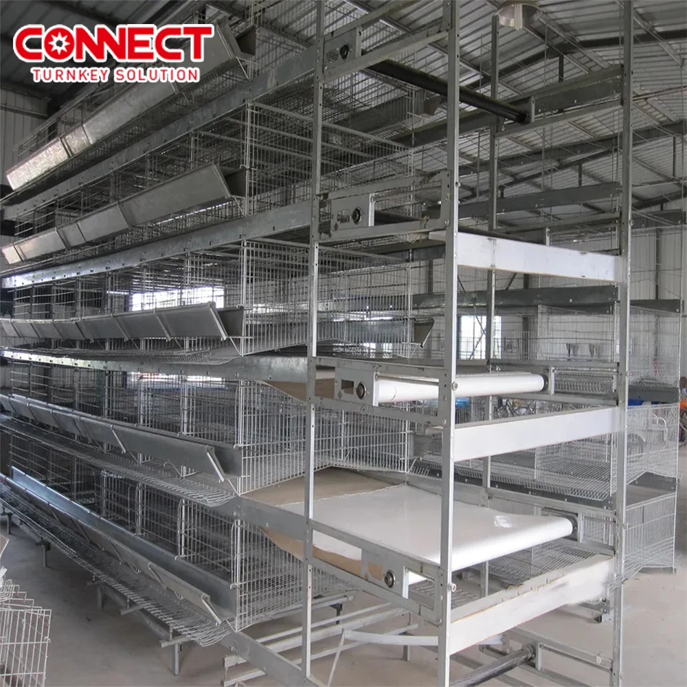 Poultry Cage Equipment 6 Tiers Chicken Farming Chicken Cage Extra Large Metal For Chicken Used