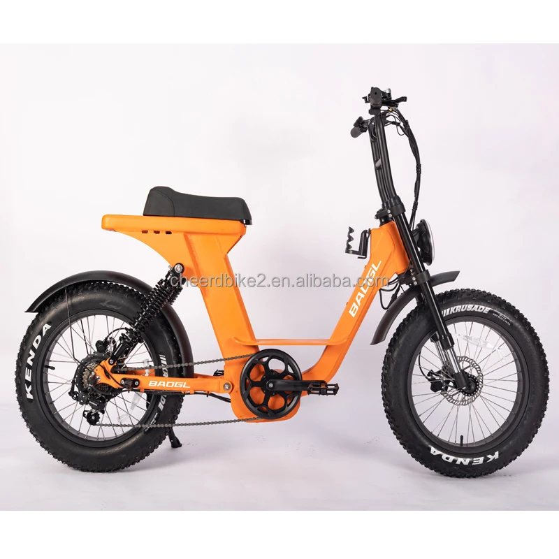 electric fatbike female 5.jpg