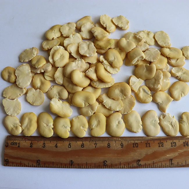Skinless Broad Beans in Bulk Dried Fava Broad Beans Split Faba Broad Beans