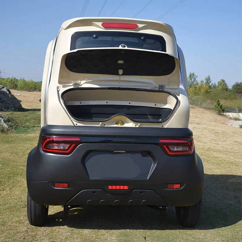 Family use China made smart electric car