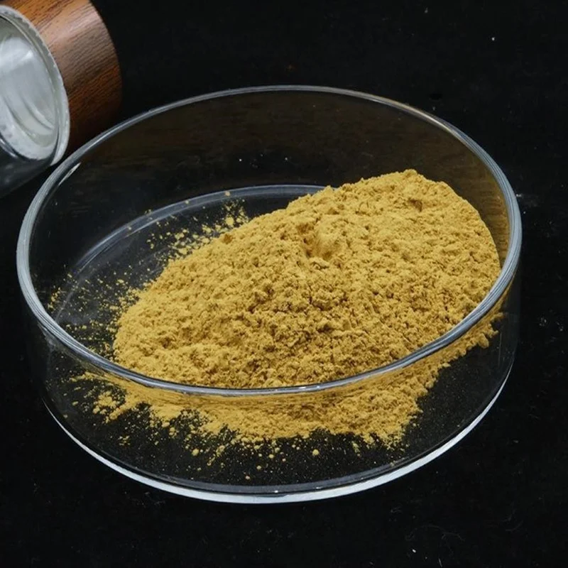 Good Quality organic ginkgo biloba extract and functional beverages ginkgo biloba powder