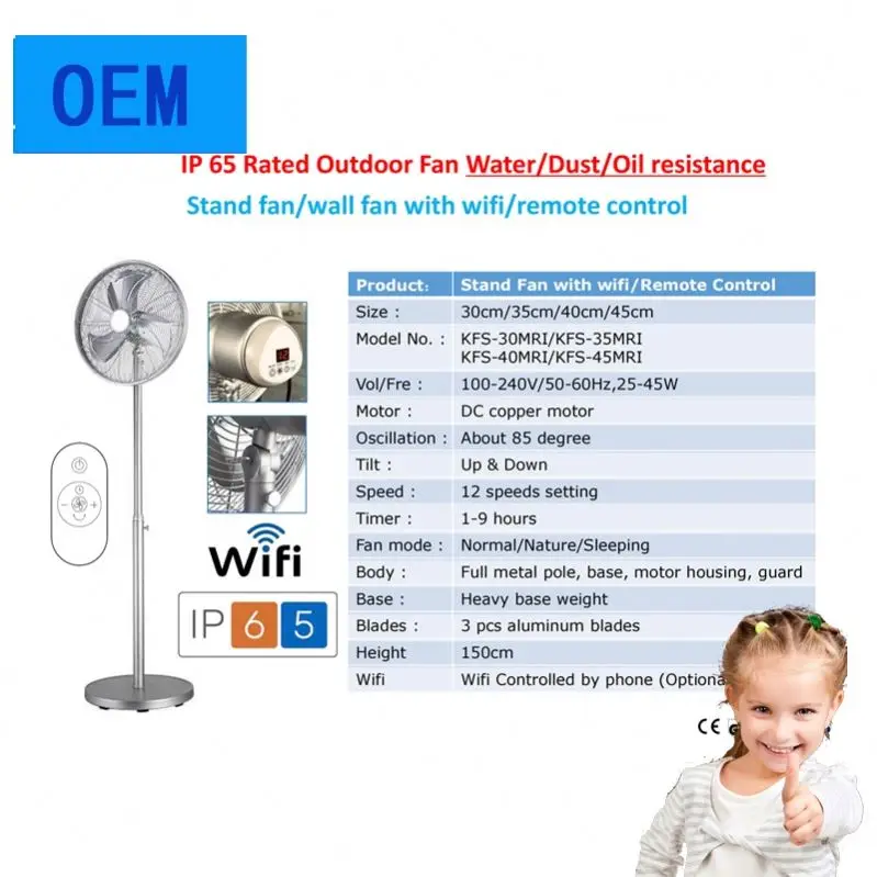2021 New Arrival Electric Stand Fan Metal Cover Dc Ac Cooper Motor Dc 12V Electric Stand Fan