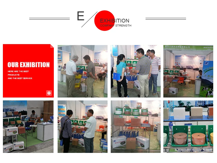 nutrition mineral block