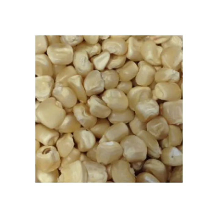 Сухая белая кукуруза высокой чистоты класса А, Южная афикан, для продажи