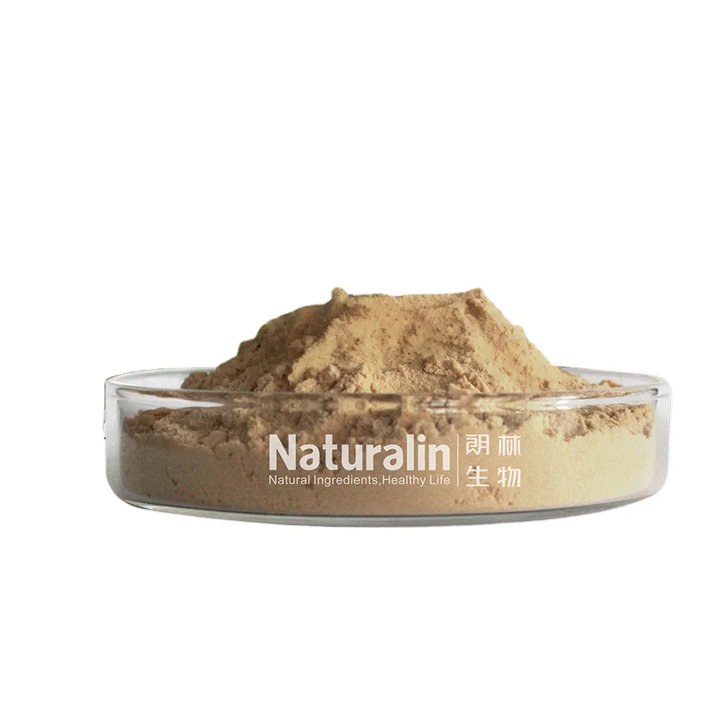 Naturalin Own Planting Base  High Quality Opuntia ficus -indica (L.) Mill. 5:1 Organic Cactus Extract Powder