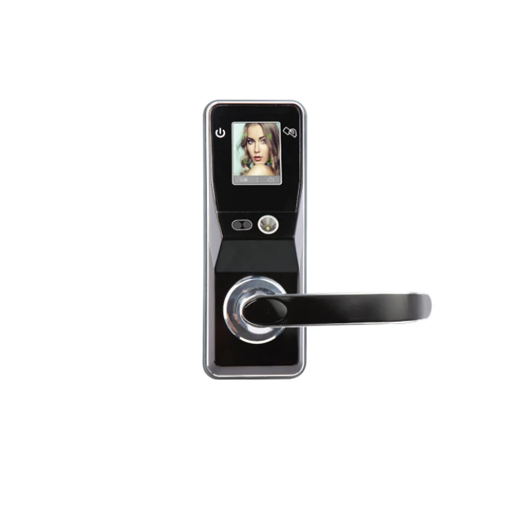 
High quality Face Recognition home security smart biometric eye scanner rfid card password door lock with camera 