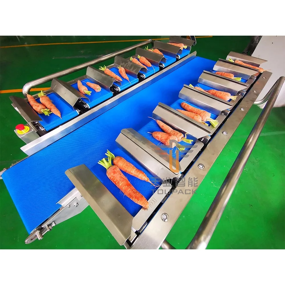 Automatic 12 Head Belt Weigher for Fruits and vegetables combination scales