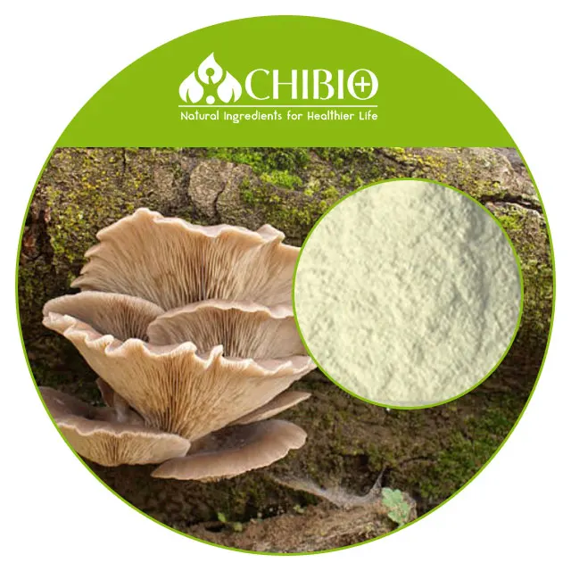 Manufacturer Supply Low Molecular Weight Water Soluble Chitosan Oligosaccharide Powder for Soil Treatment