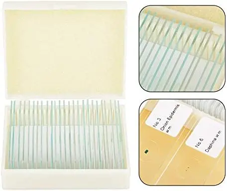 Microscope Prepared Slides 100 Plants and Animal Tissues Includes Labels and Case for Biological Science Education