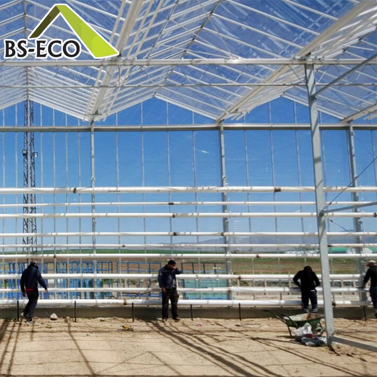 Multi-span Glass Greenhouse Nft vertical Hydroponics for Strawberry Planting