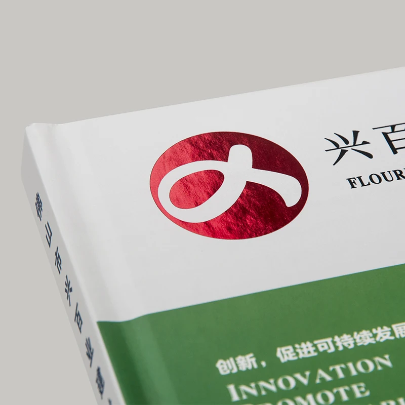 
Design and Printing of Coloured Pages and Flyers of Brochures for Enterprises of Picture Book Printers and Magazine Catalogues 