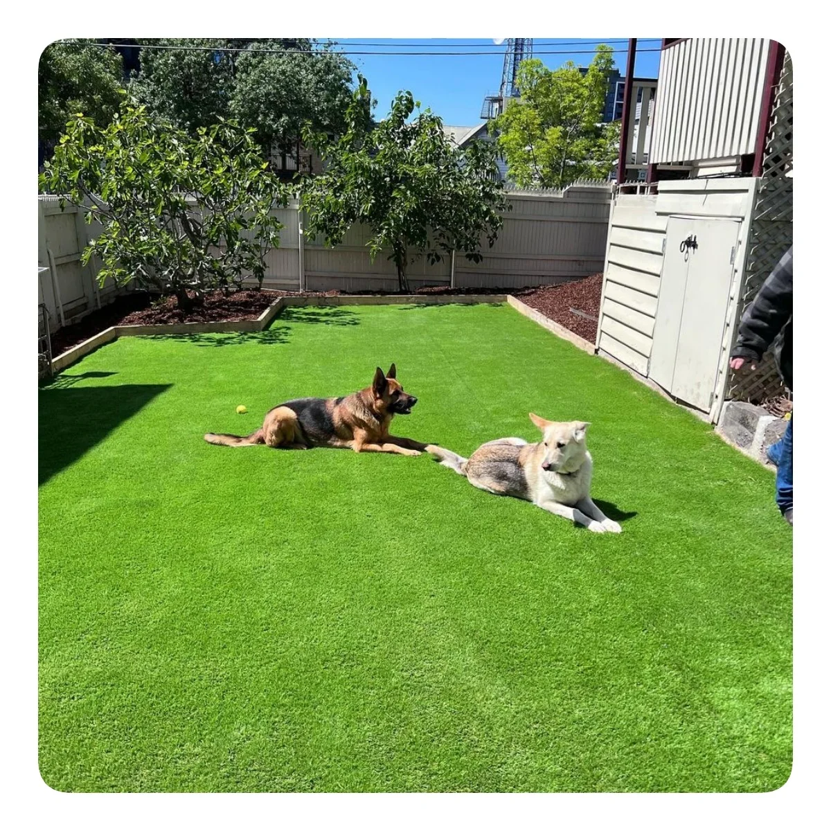 pet outdoor artificial grass turf lawn for landscaping pet