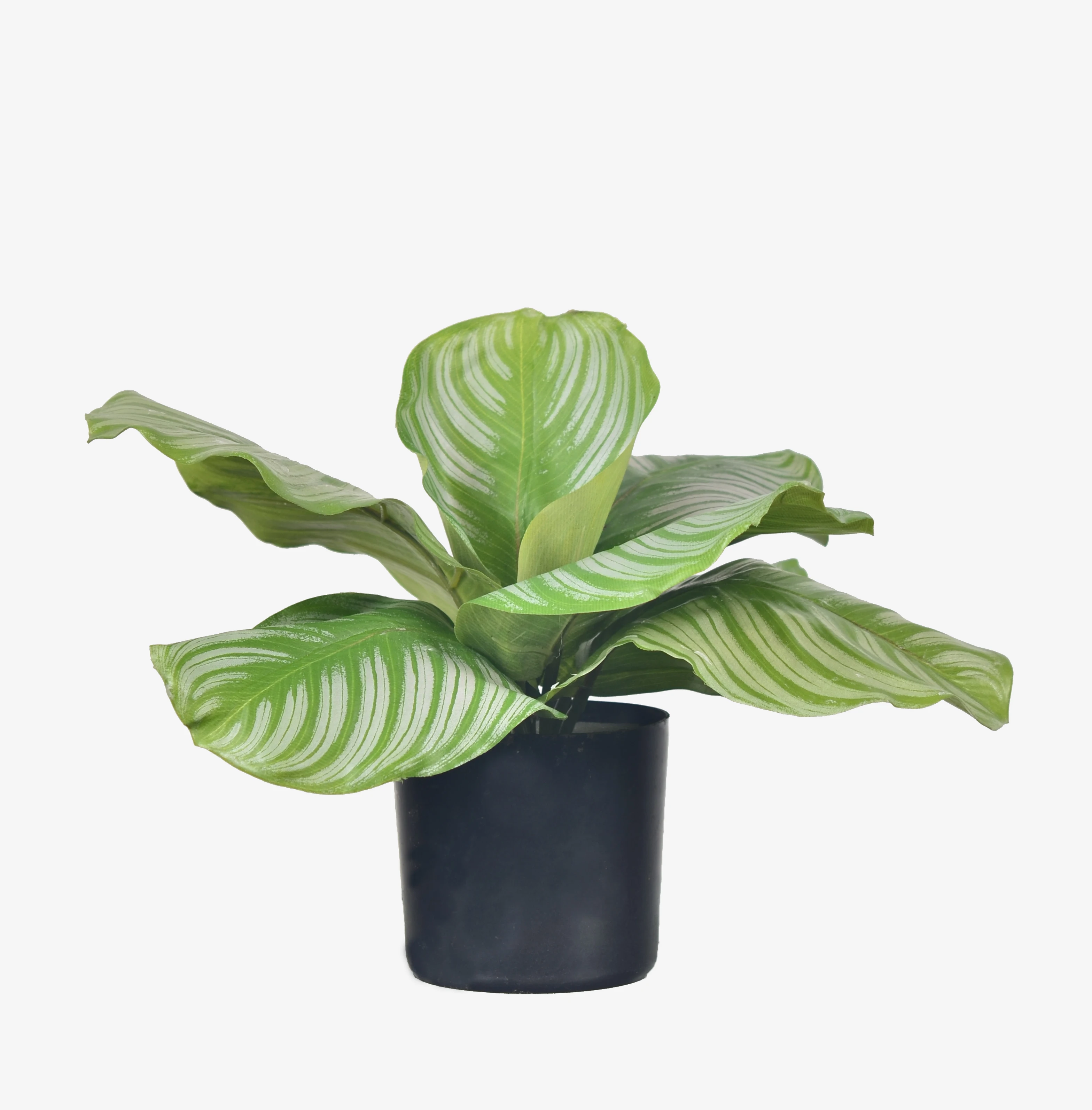 30cm Nifloral small Artificial potted Plant apple leaves faux bonsai tree for Home decoration